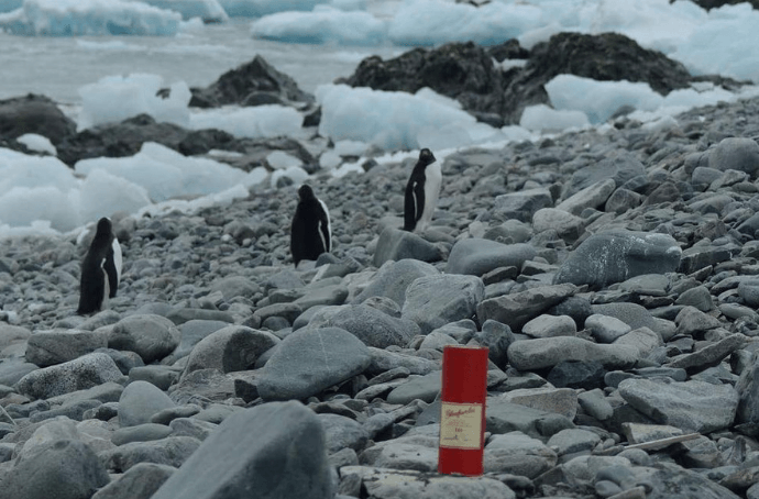 Glenfarclas 10 whisky and penguins
